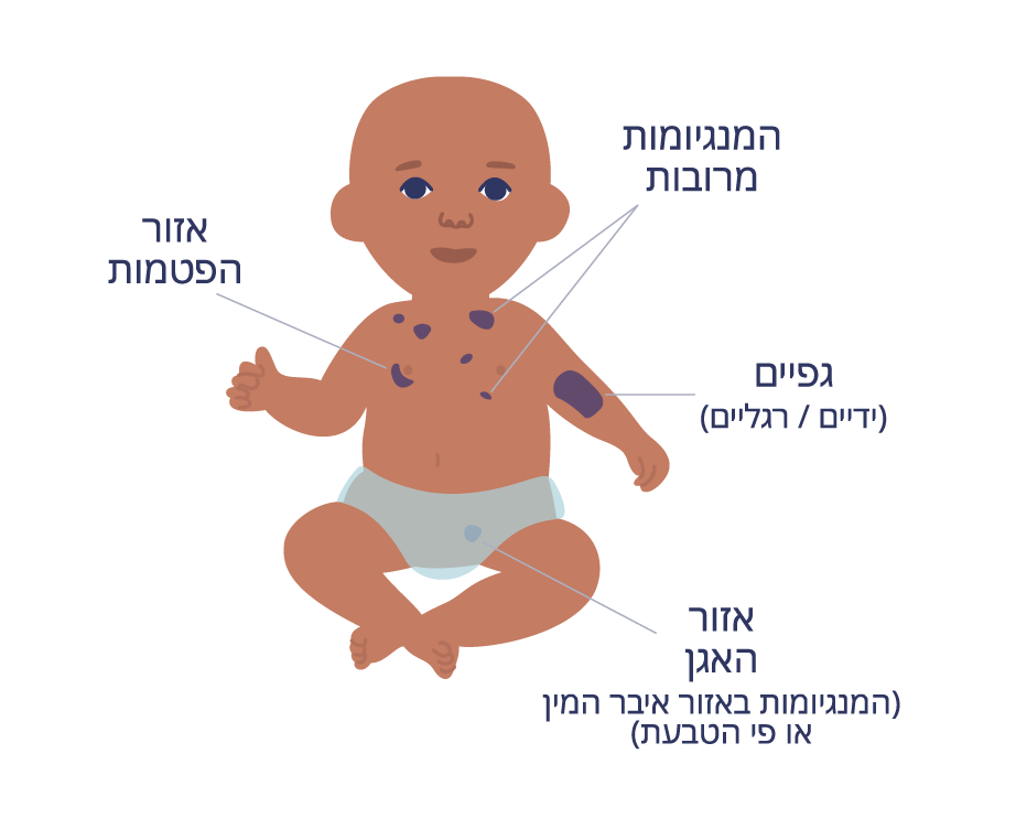 סימולציה2